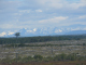 P1060926