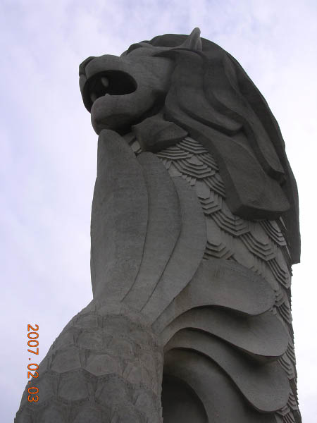 DSCN5332