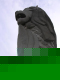 DSCN5332