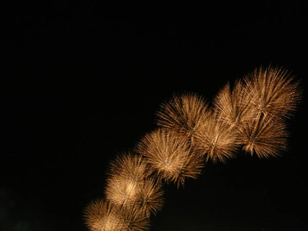 P1090020