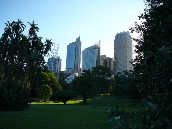 P1090390