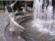 DSCN4607