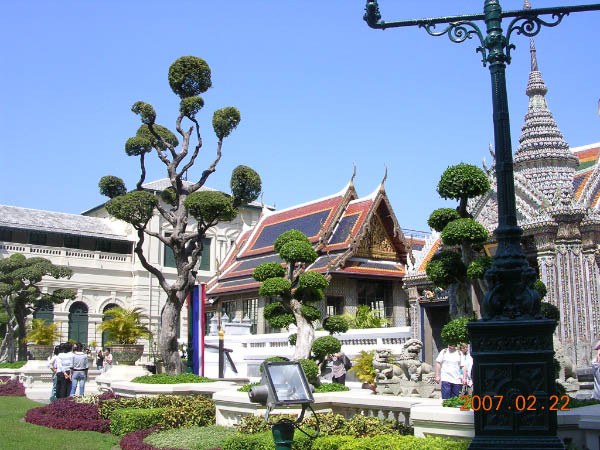 DSCN5687