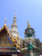 DSCN5662