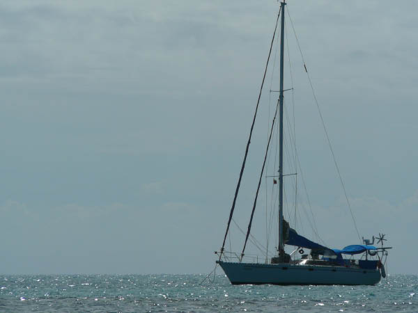 P1050818