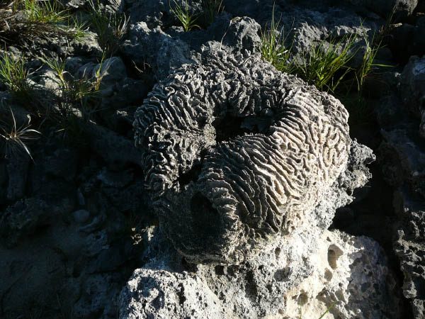 P1050876