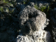P1050876